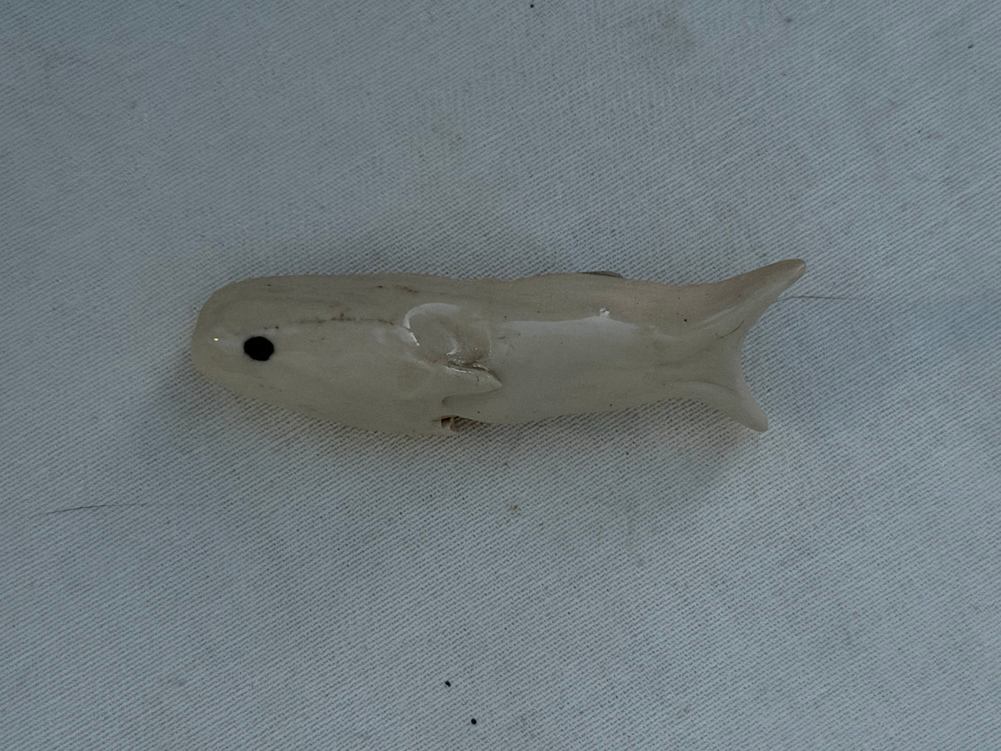 Fishy